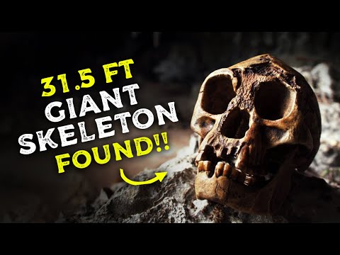 Giant Human Fossil Found in India - Proof that our ancestors were giants!