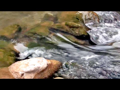 Prirodne ljepote Bosne i Hercegovine - Rijeka Vrbas