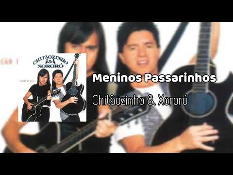 Chitãozinho & Xororó - Meninos Passarinhos 1994