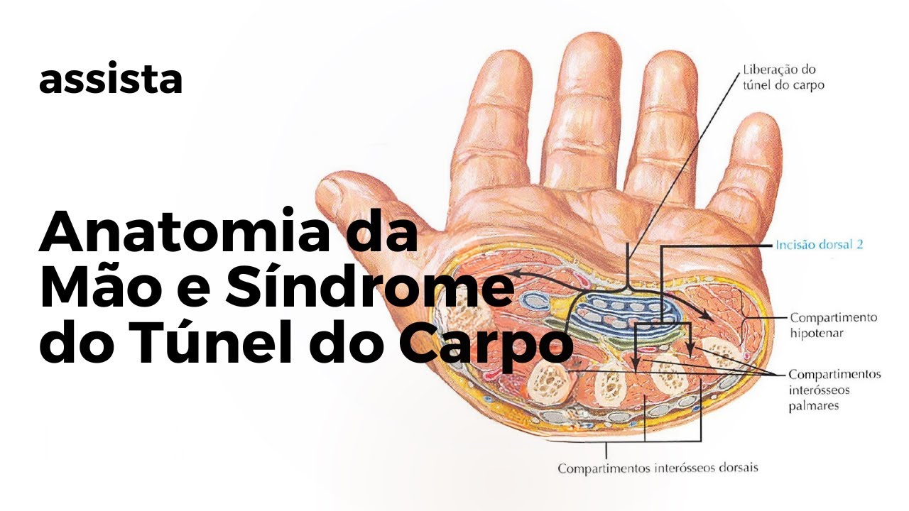 Anatomia da Mão e Síndrome do Túnel do Carpo