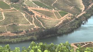 preview picture of video 'Comboio histórico do Douro - 2013 - 2ª parte'