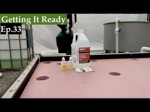 Cycling The Grow Out System | The Aquaponics God Ep.33