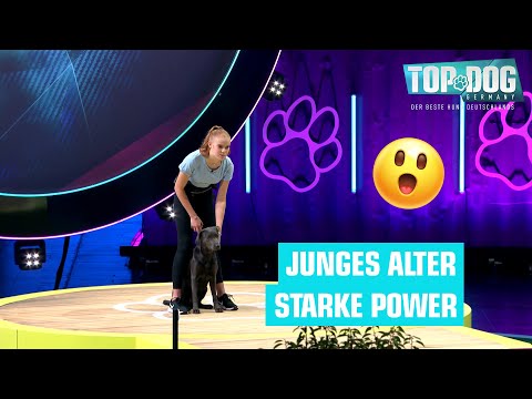 Mia und Frida im Parcours 😍🐶 | Top Dog Germany 2022