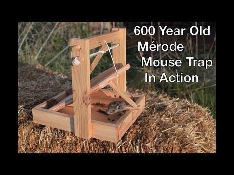 600 Year Old Style Merode Mouse Trap In Action. Best Trigger System I Have Ever Tested
