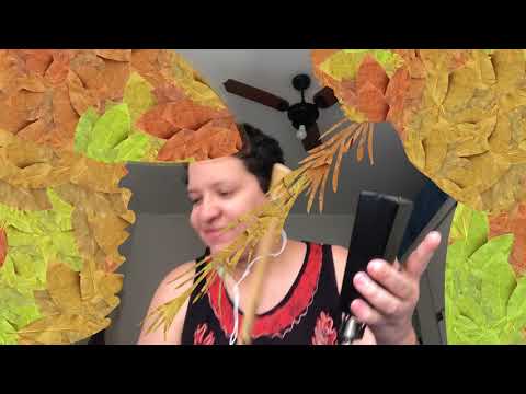 Oficina EaD da Orquestra Voadora - Banho de Folhas (Luedji Luna e Emilie Lapa)