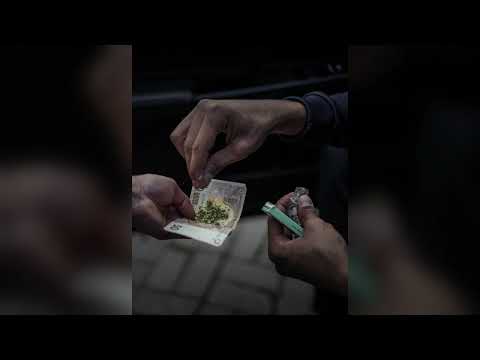 MALIK MONTANA x E9 ENZO x RYDA - POLSKI AFGAN - SNIPPET