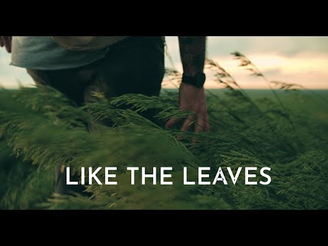 Felix Räuber & Martin Herzberg - Like The Leaves