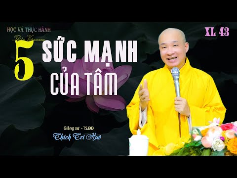 Buổi 43: Ngũ căn ngũ lực