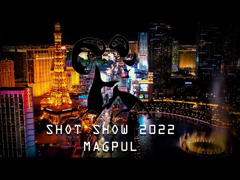 Ruger 10/22 with a Magpul Hunter X22 Review