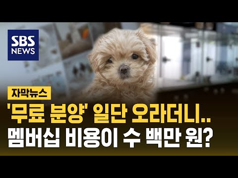 '무료 분양'이라더니…멤버십 비용으로 수백만 원 내라? (자막뉴스) / SBS