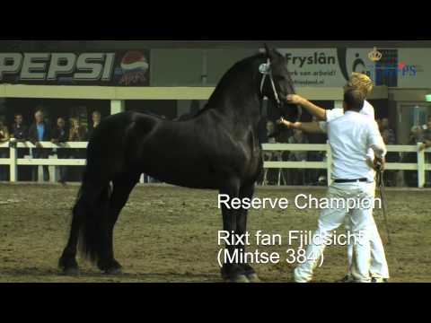 Central Mare Inspection Drachten 2011