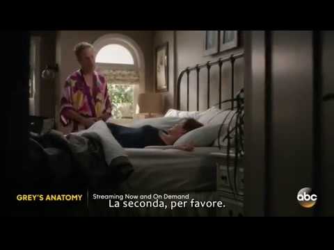 Grey' s Anatomy S14x15 sub ita (1 parte)