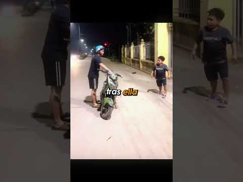 ¡Ese astuto enano logró engañar al ladrón! 😂 #shorts