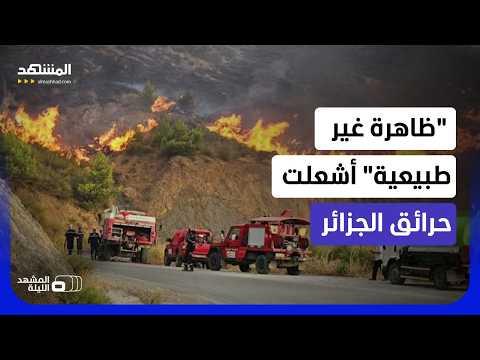 هل على تونس والمغرب وليبيا أن تقلق بعد حرائق الجزائر