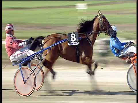 Trotto 07/04/2019 - 6ª corsa