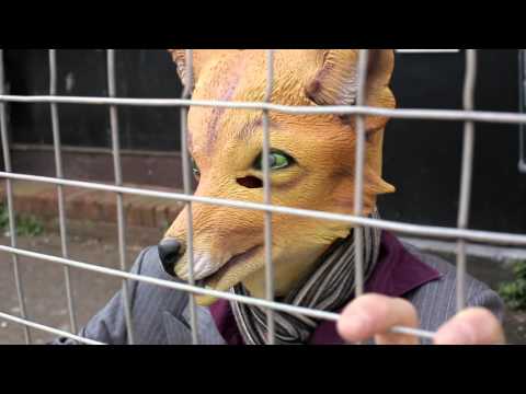Fantastic Mr Fox - The Barefoot Bandit (OFFICIAL VIDEO)