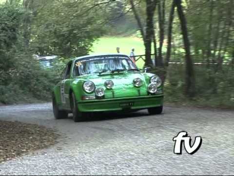 11°Revival Rally Club Valpantena 2013 Mattia Colpani by Ferrario Video