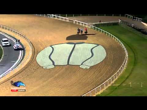 28.03.2015 Meydan (Dubai-UAE) 9.Race The Dubai World Cup 2015 - Group I 2.000 m