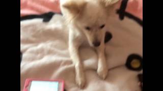 Last Xmas Mario Biondi