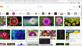 Upload Images to Google Drive with Python — Full Transcript 