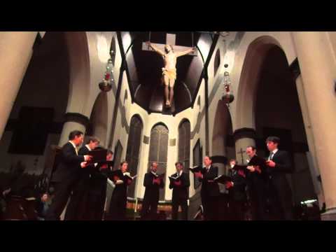 VOX Tomkins When David heard   Roeselaere 130315