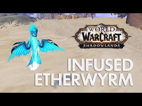 Get your Infused Etherwyrm! World of Warcraft Night Fae Assault Battle Pet Collection Walkthrough