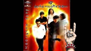 Dead mushroom  - River