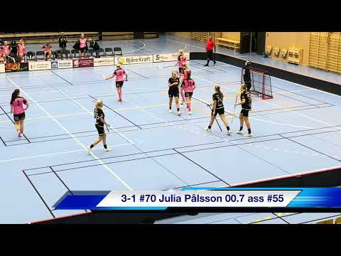 Highlights Träningsmatch Åstorp/Kvidinge IBS Damer - FBC Ljungby 6-3