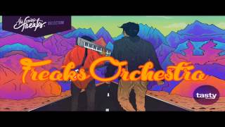 The Noisy Freaks - Freaks Orchestra (Original Mix)
