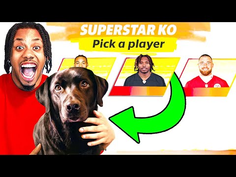 My Dog Drafts My Superstar KO Team!!!