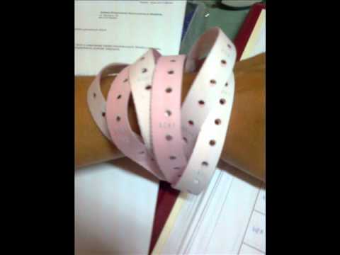 Free Free Hola Papa Song 424 SVG PNG EPS DXF File