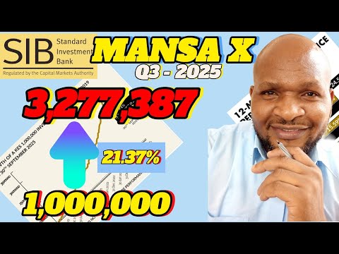 WHY GROW AND PRESERVE CAPITAL WITH MANSA X SPECIAL FUND. MANSA X PERFORMANCE FOR Q3 2025.