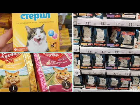 Цены на корм для кошек и котят/Ассортимент корма в магазине Ашан/Prices for cat food in Auchan