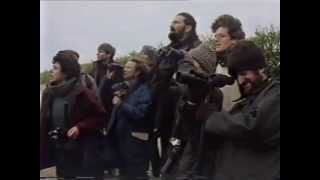 Do Not Disturb BBC 1991 Peter Capaldi Frances Barber