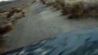 Dress Sexy at my Funeral