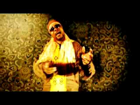 knii lante lagos to vienna