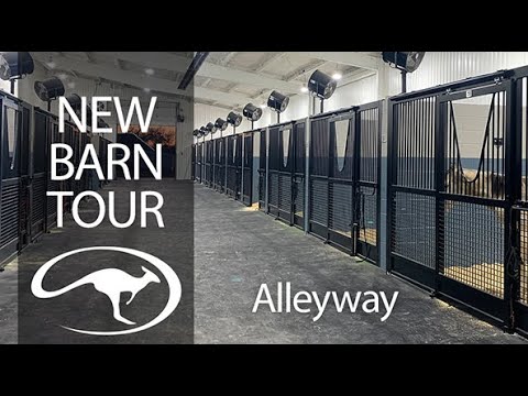 New Barn Tour: Alleyway