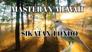 Download lagu Masteran Sikatan Londo Suara Jernih || Audio Jeda Beberapa Detik mp3 Download lagu Masteran Sikatan Londo Suara Jernih || Audio Jeda Beberapa Detik mp3