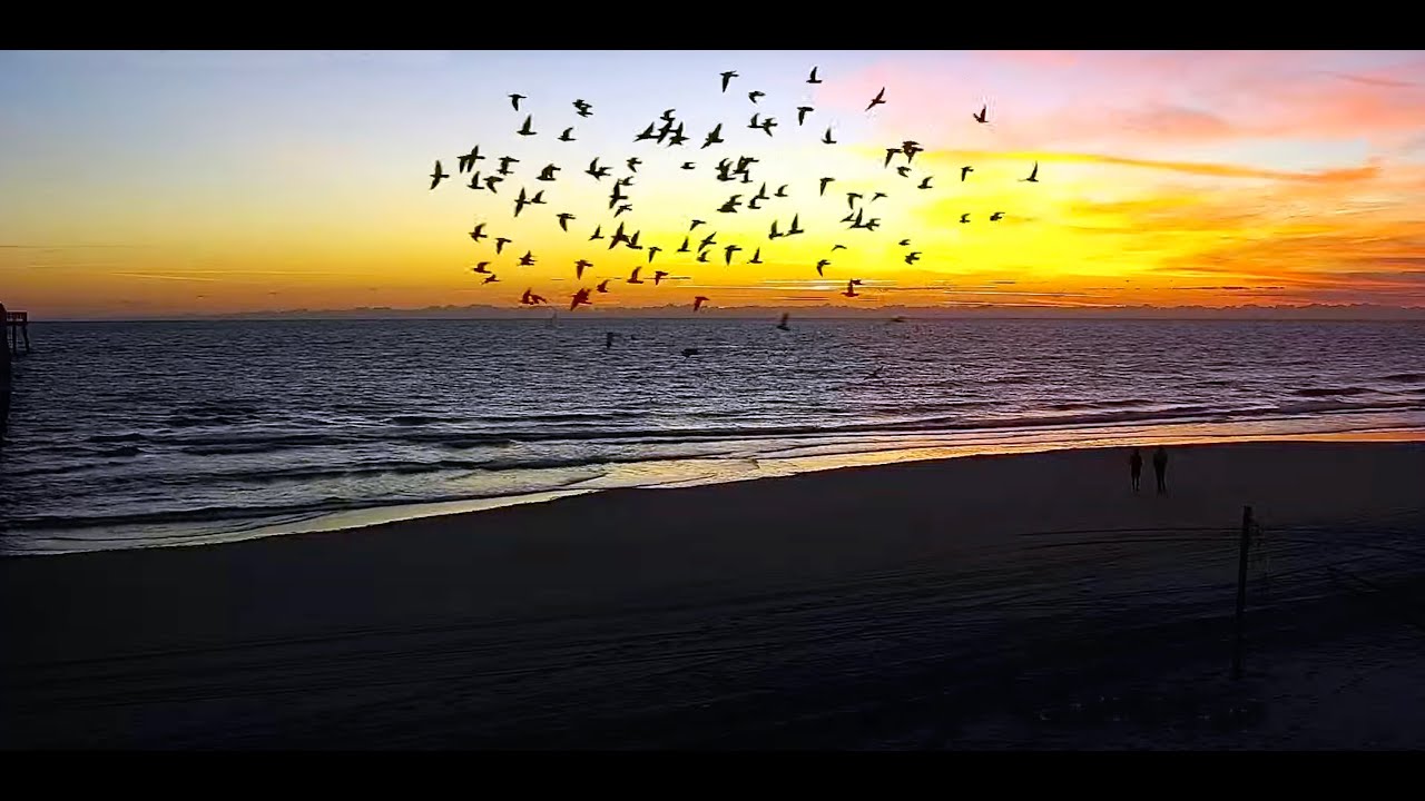 Live webcam view of Jacksonville Beach Pier South View