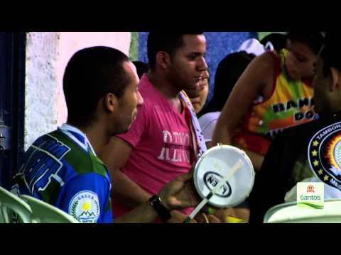 Carnaval 2014: Unidos dos Morros