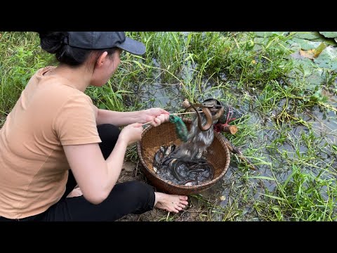 Unbelievable Oil Fishing | Unique Fish Trap System With Primitive Technology Of Catching Big Fish
