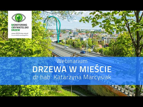 , title : 'Webinarium "Drzewa w mieście", Katarzyna Marcysiak, Stowarzyszenie MODrzew'
