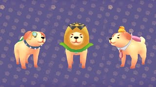 Doggone Hungry Steam Trailer