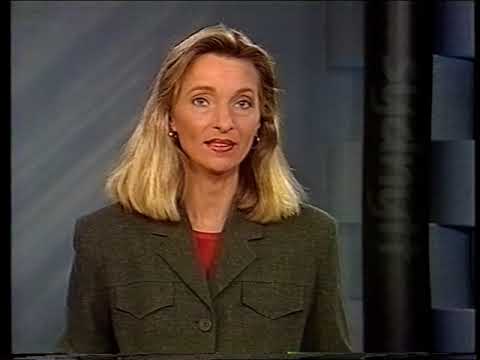 Sydnytt SVT 1996-11-19