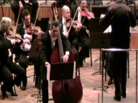 Puican Cornelius - Cosmin, K. von Dittersdorf, Concerto for Contrabass and orchestra Part I