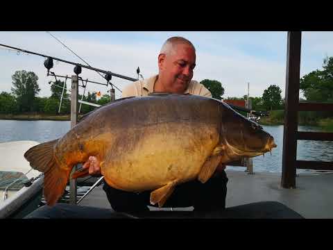 Találkozás Behemóttal 29.80kg - Hejőkeresztúr@ SEDO Fishing