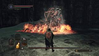 【PS4】【DARK SOULS Ⅱ】sl1 #32 原罪の探究者アン・ディール