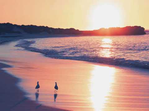 Zach DeVincent - Deep Afterhour Nr. 311