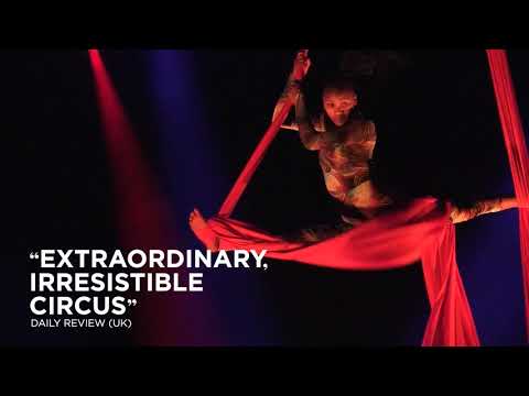 Circus Abyssinia: Ethiopian Dreams at Chicago Shakespeare Theater