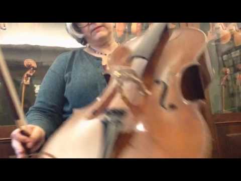 Free tickets to Amsterdam to buy fine cellos! Contact me for more information